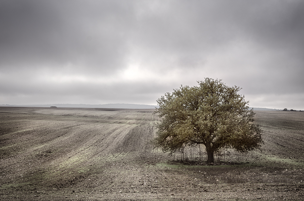 Diramazioni, mostra fotografica al Fortino Sant’Antonio di Bari